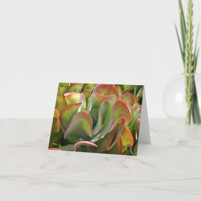 Cartão Kalanchoe notecard (Frente)