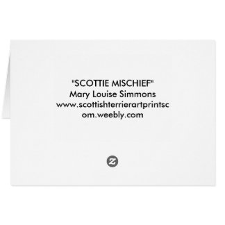 CARTÃO KALEIDOSCOPE SCOPE SCOTTS