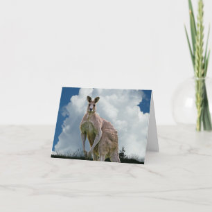 Cartão Kangaroo Notecard