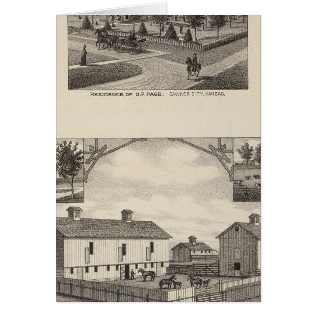 Cartão Kansas Live Stock County em Cawker City (Frente)