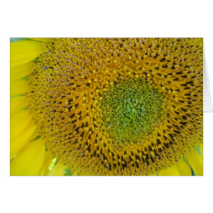 Cartão Karte Sonnenblume, blanko, gestalbar