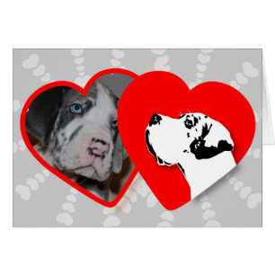 Cartão Karten für Ihre Fotos!