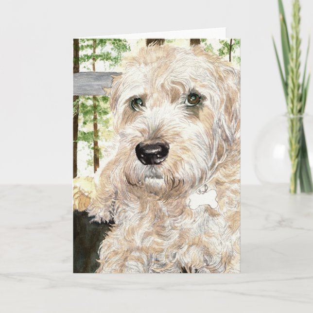 Cartão Katie o Wheaton Terrier (Frente)