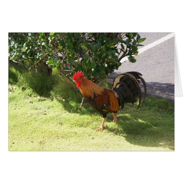 Cartão Kauai Rooster (Frente horizontal)