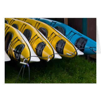 Cartão Kayaks
