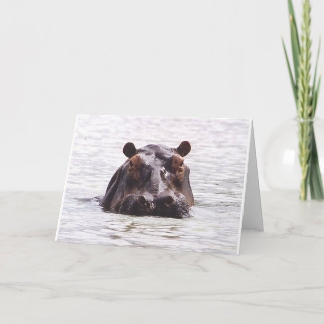 Cartão Keeboko curioso (hipopótamo) (Frente)