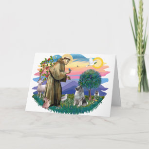 Cartão Keeshond (#2)