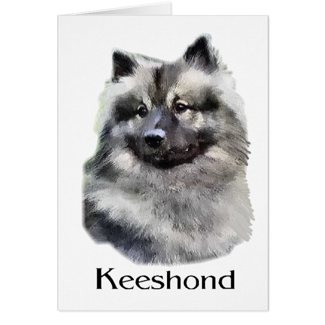 Cartão Keeshond Art Gifts (Frente)