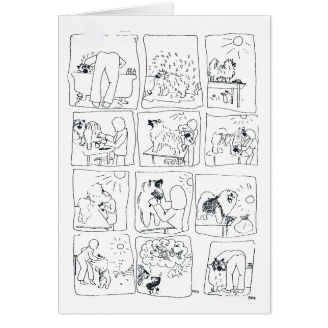 Cartão Keeshond Bathtime cómico (Frente)