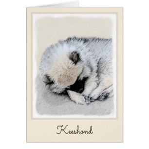 Cartão Keeshond Dormindo Puppy Pintura Original