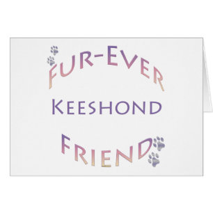 Cartão Keeshond Fuore