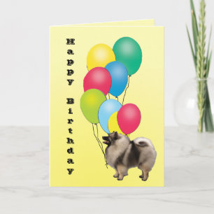 Cartão Keeshond Happy Birthday