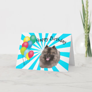 Cartão Keeshond no feliz aniversario branco de Starburst
