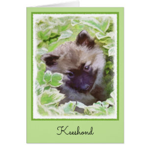 Cartão Keeshond Puppy na Pintura Original