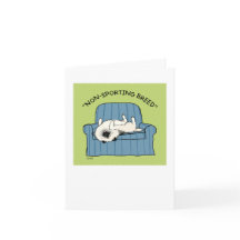 Keeshond "Raça Não Desportiva"