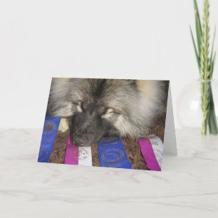 Cartão Keeshond Show Puppy