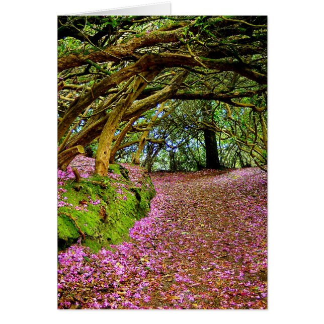 Cartão Kenmare Irlanda (Frente)