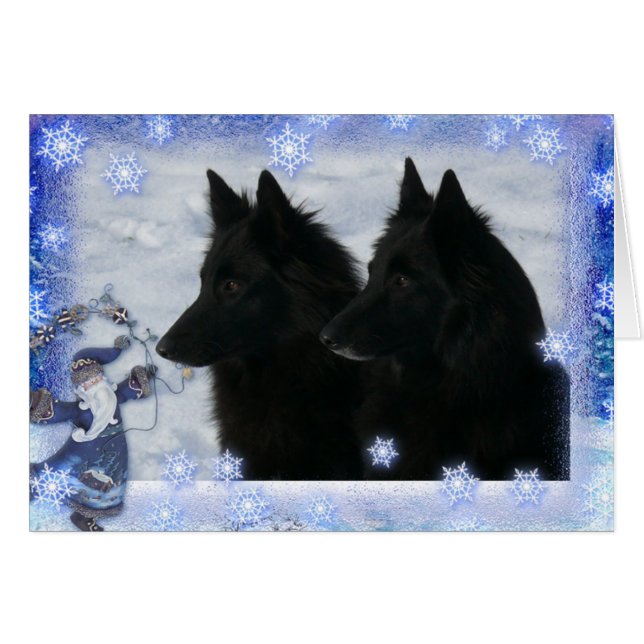 Cartão Kerstkaart 2 Groenendaelers (Frente Horizontal)