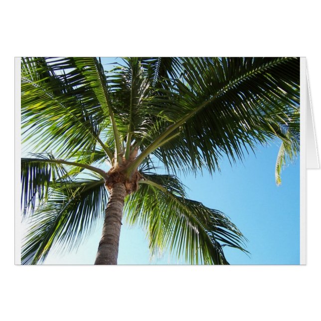 Cartão Key West (Frente Horizontal)