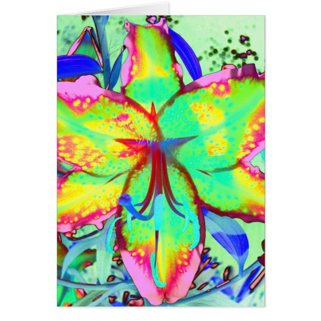 Cartão Key West Lily (Frente)