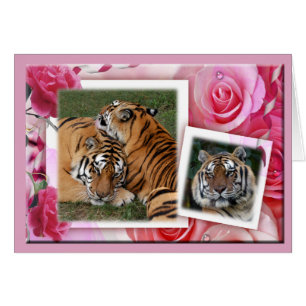 Cartão Khan-00100-65x45