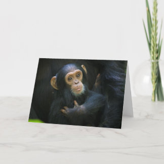 Cartão Kibale Chimpanzé - Criança