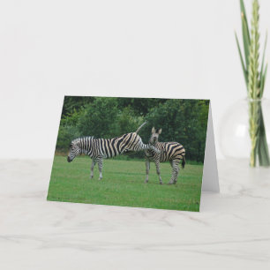 Cartão Kicking zebra greeting card