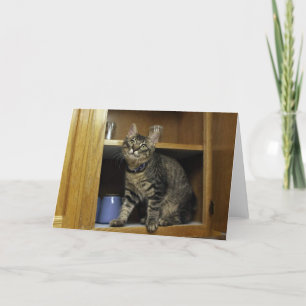 Cartão Kimber in the Cupboard Blank Greeting Card