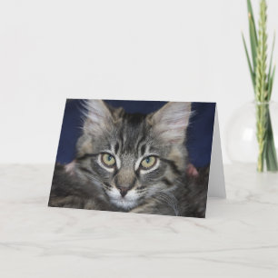 Cartão Kimber Kitten Blank Greeting Card