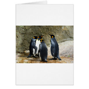Cartão King Penguin