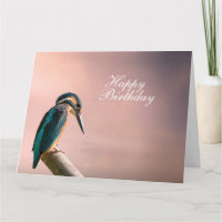 Kingfisher
