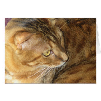 Cartão Kishka brilhando em ouro