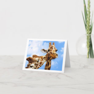 Cartão kissing Giraffes