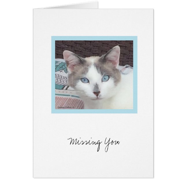 Cartão Kit Coleção nº 3 do Kit (Frente)