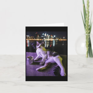 Cartão Kit Gatinho Cigarro Meme Engraçado de Gato Idiota