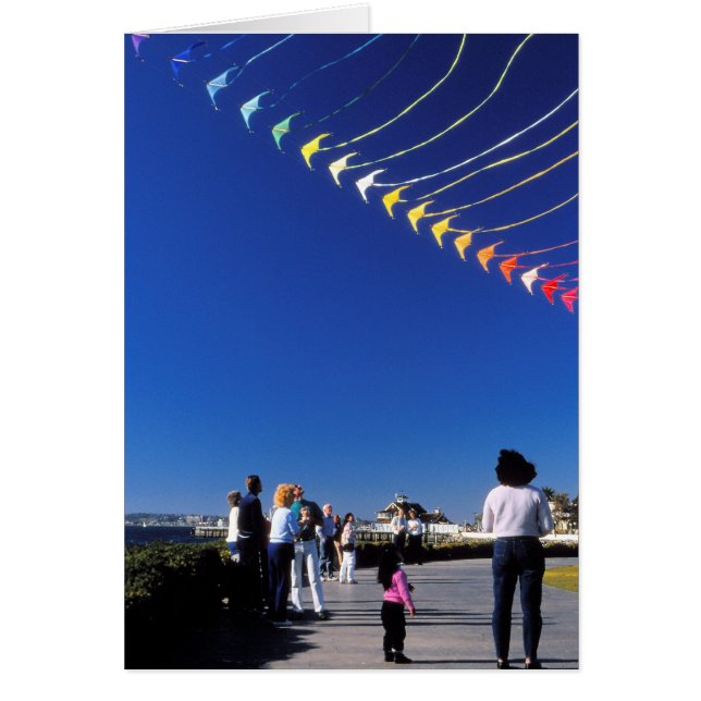Cartão Kite Flying (Frente)