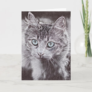 Cartão Kitten Adorava Gato De Gatinho Gelado Com Olhos Az