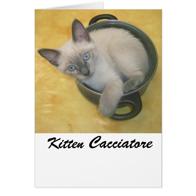 Cartão Kitten Cacciatore (Frente)