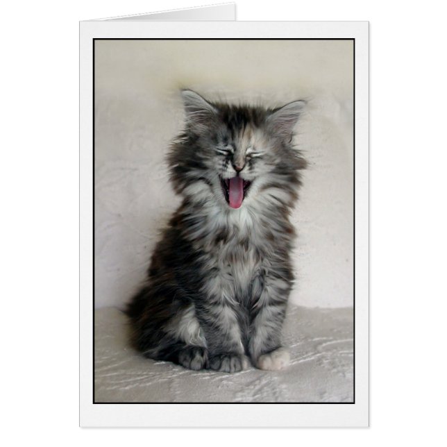 Cartão Kitten com uma expressão de excelente (Frente)