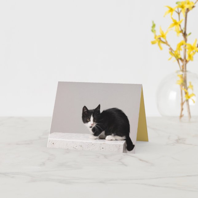 Cartão Kitten Love (Flor Amarela)