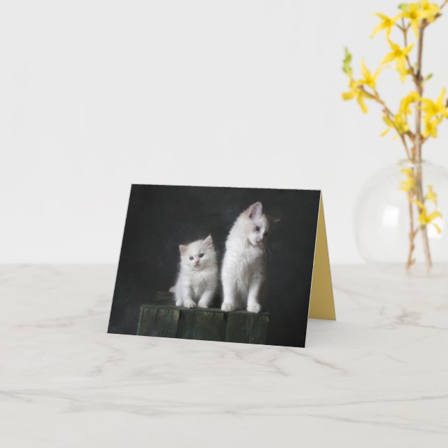 Cartão Kitten Love (Flor Amarela)