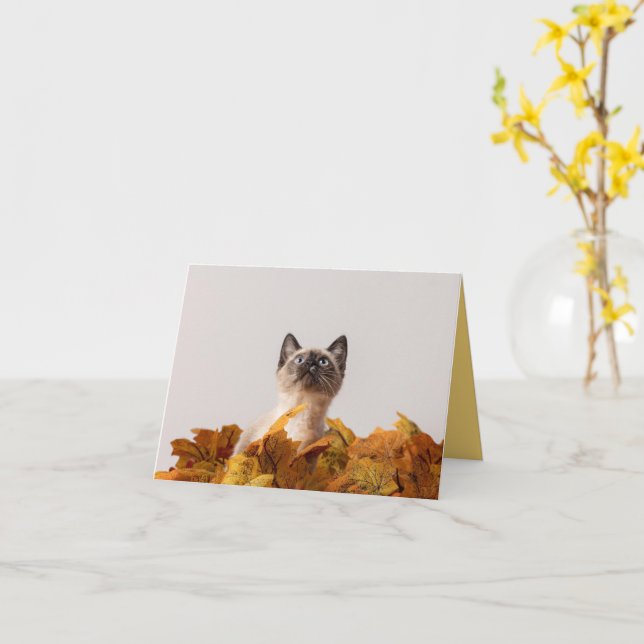 Cartão Kitten Love (Flor Amarela)