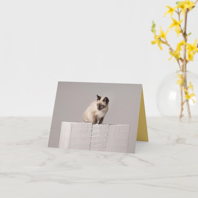 Cartão Kitten Love (Flor Amarela)