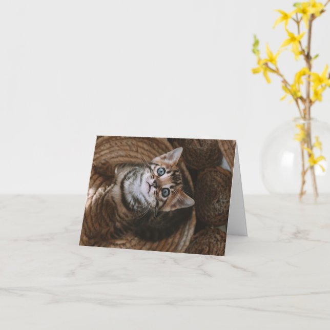 Cartão Kitten Love (Flor Amarela)