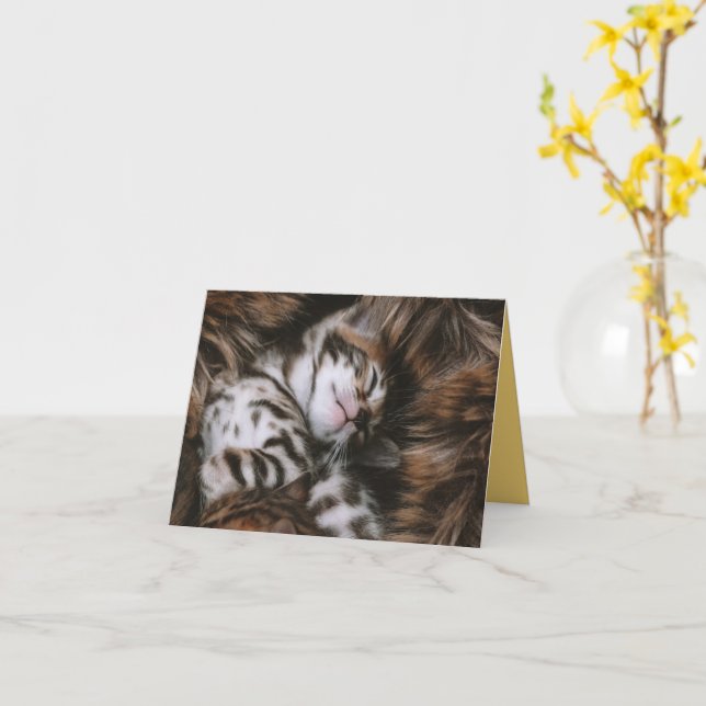 Cartão Kitten Love (Flor Amarela)