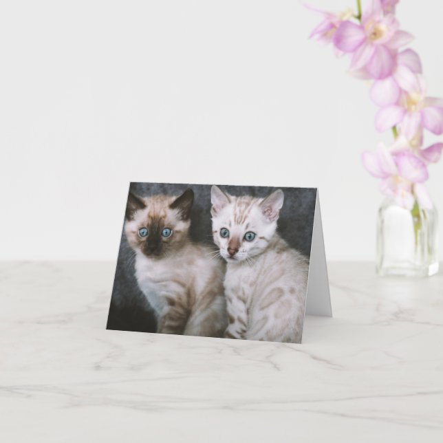 Cartão Kitten Love (Orquídea)