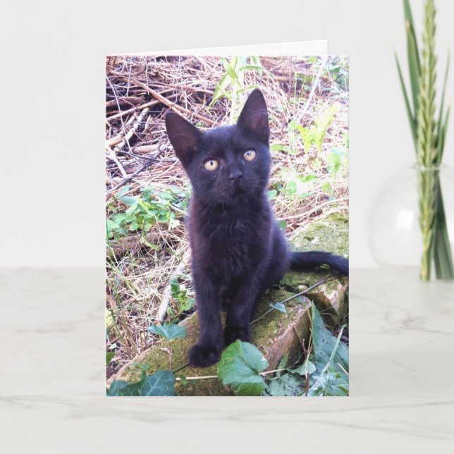 Cartão Kitten Preto (Frente)