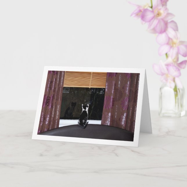 Cartão Kitten Preto e Branco na Janela (Orquídea)