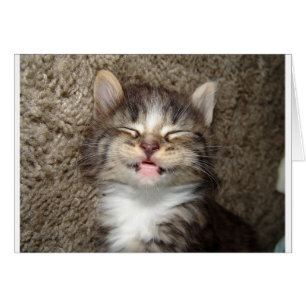 Cartão Kitten Smile