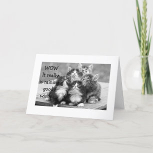 CARTÃO KITTENS CONCORDAM QUE VOCÊ DEVERIA TER FELIZ ANIVE
